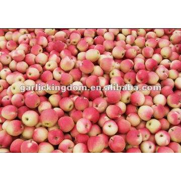 New Crop Red Gala Apple